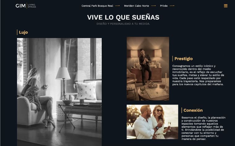 Diseño web GIM